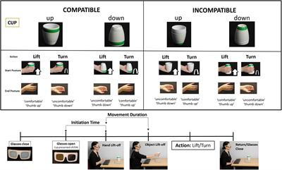 Factors Influencing Manipulation of a Familiar Object in Patients With Limb Apraxia After Stroke